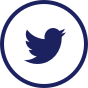 X (Twitter)